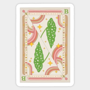 Begonia Maculata Polka Dot Plant Illustration with Playing Card Design for Plant Mom Plant Daddy Sticker